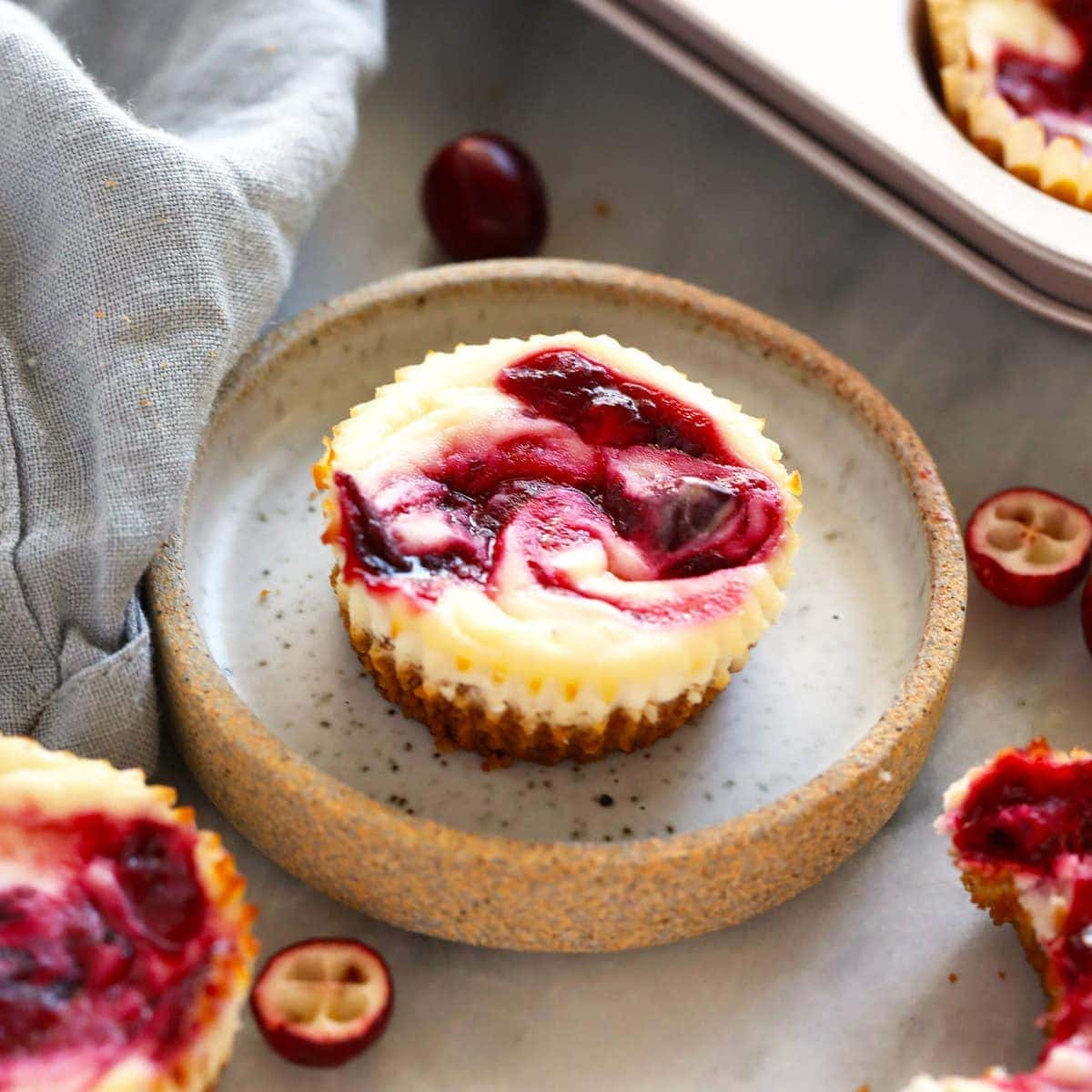 Greek Yogurt Cranberry Cheesecake Bites